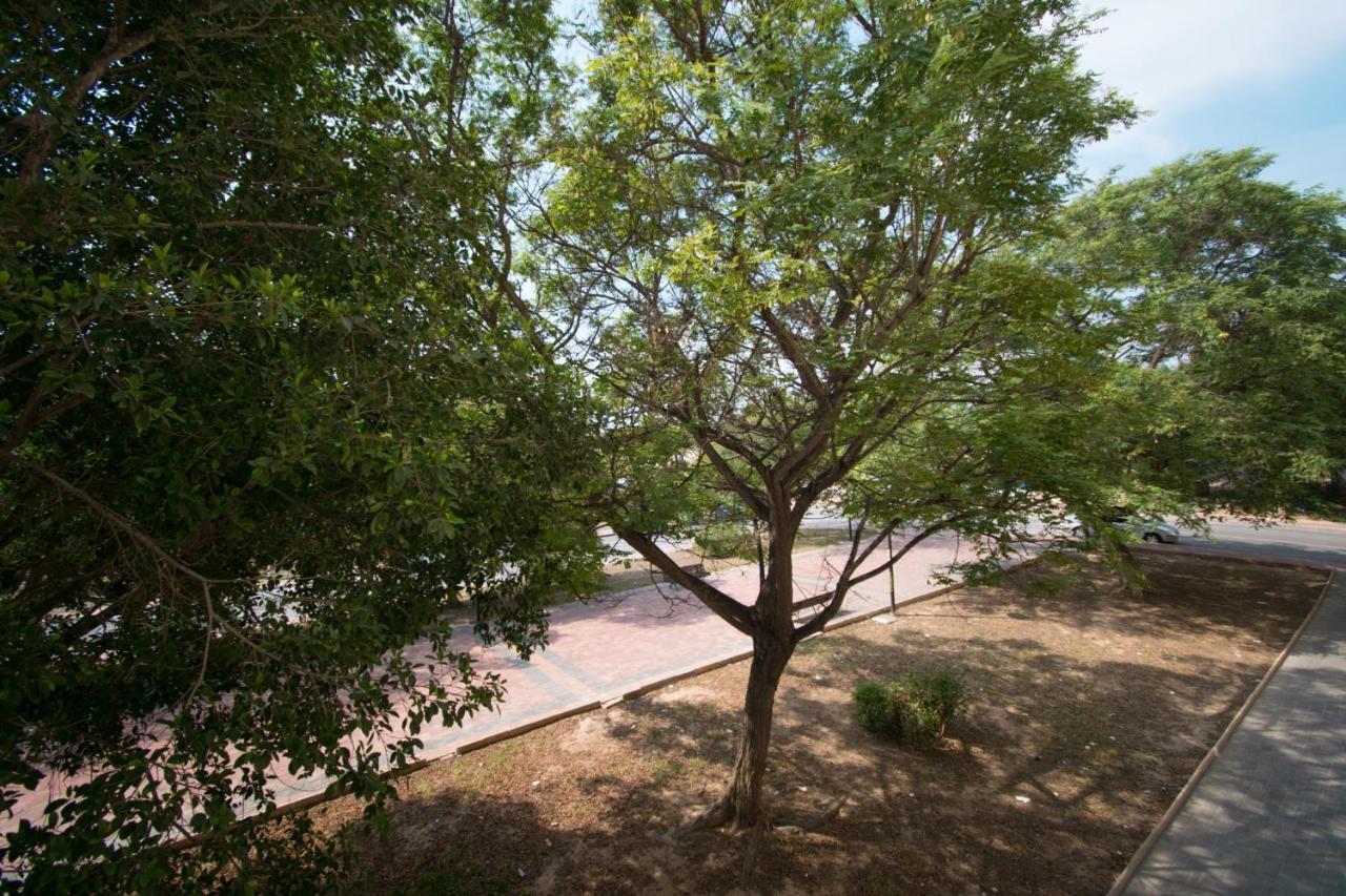 113 Beach And Trees - Alicante Holiday Torrevieja Extérieur photo