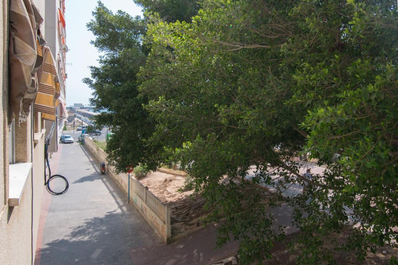 113 Beach And Trees - Alicante Holiday Torrevieja Extérieur photo